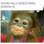 Hamdi