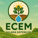 Ecem