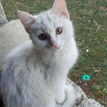 Esra