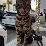 Berk