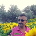 Ayvaz