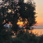 Ceyda