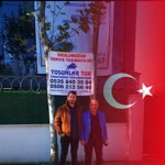 Tosunlar