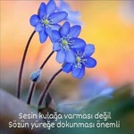 Yasemin
