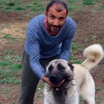 Tayfun