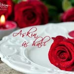 Turgut