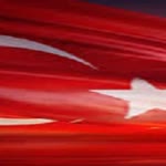 Ayşegül