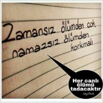 Havva
