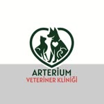 Arterium