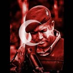 Doğan