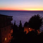 Yasemin