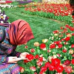 Gülden