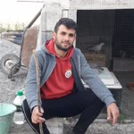 Arda