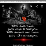 Krtcnk