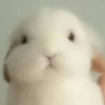 Anıl
