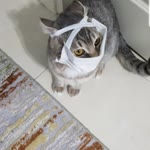Serkan