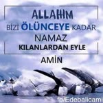 Rasim