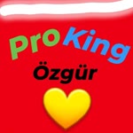 Pro