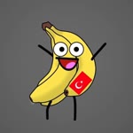Sarp
