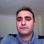 Şahin