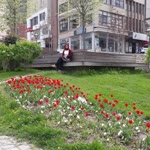 Muradiye