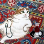 Kedi