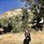 Seher