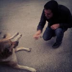 Sahin