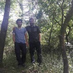 Enis