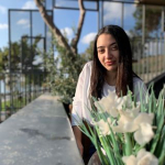 Buse