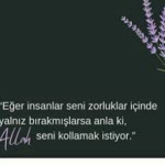 Birgül