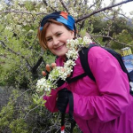 Melek