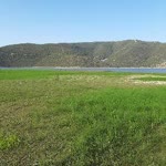 Resul