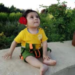 Doğan