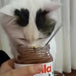 Mavi