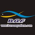 Baf