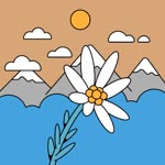 Ayşe