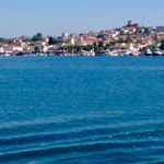 Caner