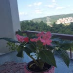 Emel