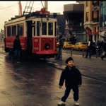M. Demiray