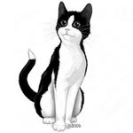 Furkan