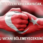Ayşegül