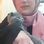 Semsi