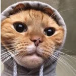 Fatih