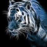 Onur