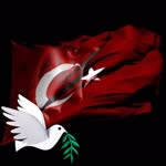 Yavuz