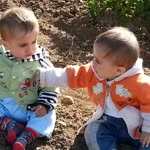 Metin