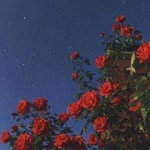 Şeyma
