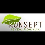 Fatih