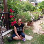 Songül